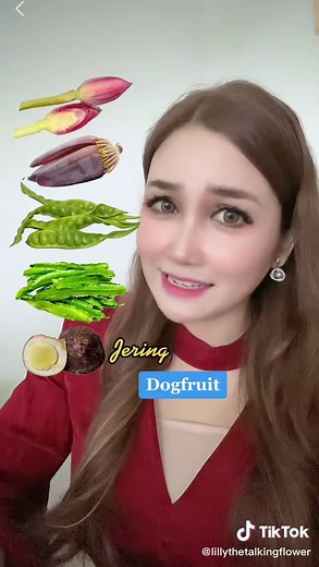 Discover the Meaning of Bunga Kantan in English - Lily the Talking Flower