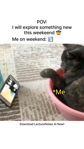 LectureNotes AI on Instagram: "Download LectureNotes Ai and free your brain for “weekend adventures” even if the only thing you end up exploring is the next level of your chill vibes 🎧🐾 #studytips #lecturenotesai #studysmart #weekendvibes #studymemes #studentlife #viralreels #reach #explore #mit"