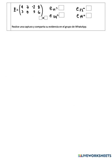 Introducción a las Matrices worksheet