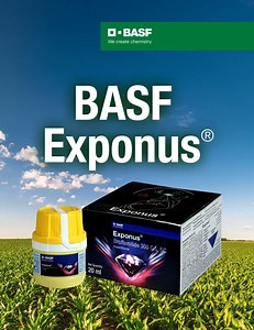 19K views · 243 reactions | BASF Exponus®  - A Powerful, Quick, and Versatile Insecticide for Effective Management of FAW in  Corn crop #biggestjobonearth #indianfarmer #farming Subscribe to our YouTube channel: https://basf.link/BASF_YouTube_India Facebook: https://basf.link/BASF_FB_India | BASF Agricultural Solutions | Facebook