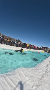17K views · 397 reactions | Sink or Skim at the 2023 Annual Pond Skim ️ GoPro | Stratton Mountain Resort | Facebook