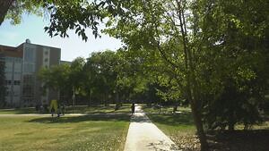 Free tree tour offers a look at ‘fabulous flora’ on university campus