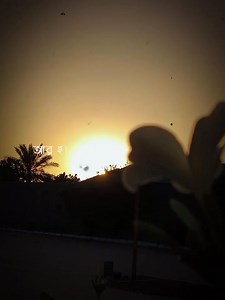 304 reactions · 24 shares | #bangladesh_islamek #reelsvideoシ #শুভ_জন্মদিন_প্রিয়_chowdhury_mahmudun_nabi_shohel #followersreelsfypシ゚viralシfypシ゚viralシalシ #foryoupagereels #lxsobuj_official #foryoupageシ #lxshipon #foryouシ #foryourpage | Farabi Islam Shipon | Facebook