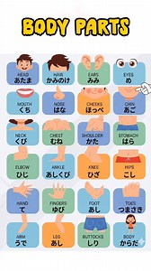 Body parts japanese vocabulary! #nihongo #japanesewords #にほんご #learnjapanese #日本語 #nihongo #japaneselanguage #japanese #fyp #japaneseculture #japaneselesson | Life in Japan