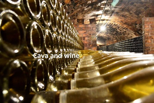 3 Barcelona cava tours to enjoy cava tasting in Barcelona