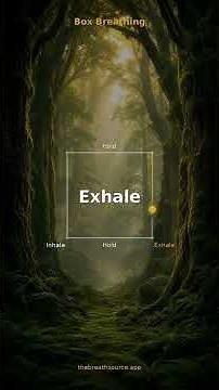 Box Breathing Guide | 4-4-4-4 Technique | The Breath Source