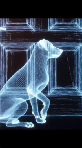 He waits because in his world love never ends #psychologyfact #humanfact #fyp #fyf