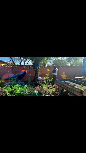 Hey Hola, my friends! I decided to use my solar power station to power the counter top composter and it's working wonderfully! We've cut back on over 90% of our food waste scraps. This handles leaves and twigs as well. Our growbeds are fed only by the compost we create. Look at those beautiful veggies!! #TogetherWeGrow #gardening #vegetablegarden #sustainableliving #sustainablefarming #diygardening #garden #ediblegardening #sustainability | Chuck Sandman Collins