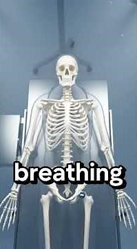 What REALLY Happens During Open Heart Surgery?