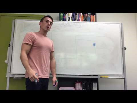 Diuretics - loop diuretics (furosemide)