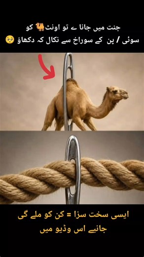Motivational Speech for Muslim Ummah | Powerful Islamic Reminder for Every Believer |
