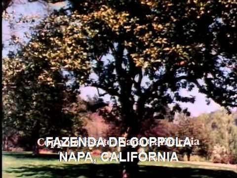 Hearts of Darkness A Filmmaker's Apocalypse