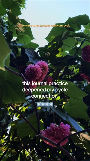 📔This is how you can gently check in with your cycle and where you stand in relation to it: ✨What messages have I received about menstruation growing up? Which ones do I still carry? ✨If my cycle could speak, what would it say it needs more of right now? ✨Where in my body do I feel most connected to my cycle? ✨What sensations show up before my bleed begins? ✨How does hunger, movement, or sleep shift throughout my cycle? ✨What does honoring my cycle actually look like in my day-to-day life? #wom