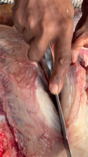 Cow Rib's fat Slicing Video #trending #shorts #youtubeshorts