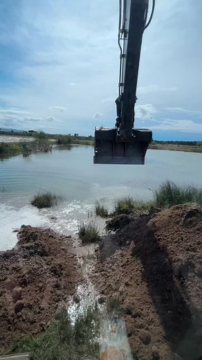 Excavator in Action: Digging and Moving Earth