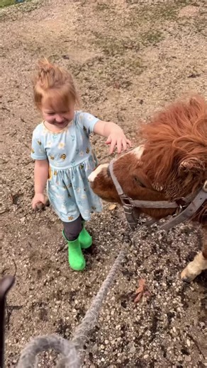 One of the best parts of homeschooling? Learning through real-life experiences! Today, my 3-year-old had her first day as my little apprentice. She may not have mastered trimming hooves just yet, but she excelled at petting the horses, telling them how cute they are, and handing out treats like they were going out of style! #HomeschoolLife #LearningThroughLiving #HomeschoolPreschool #RealLifeLearning #HandsOnLearning #FarmSchooling #HomeschoolAdventures #RaisingWildflowers #LittleApprentice #Kid
