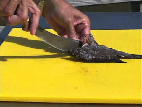How to clean Sunfish by Captain Vincent Russo