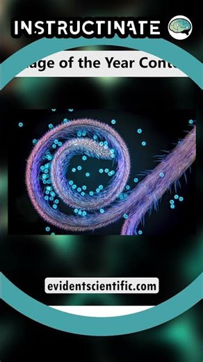 Electron Microscopy News for May 2026