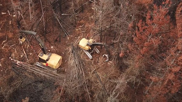 High-Powered Forestry Machine Tackling Extreme Logging