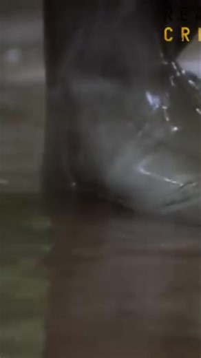 A chilling detail suggests a calculated act, not a crime of passion. The victim fought back, but the 'extreme violence' left no chance. No evidence of sexual assault, but the wounds tell a story of fury. What compels such darkness? #TrueCrime #ForensicAnalysis #CriminalMinds #UnsolvedMysteries #DarkSide #Justice | Real Crime