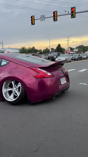 Stance and Camber: Unleashing the 370Z's Potential