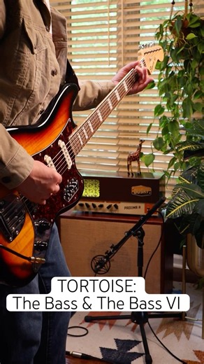 Tortoise: The Bass & The Bass VI