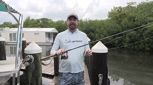 3.9K views · 51 reactions | Meet the newest addition to the Fish...