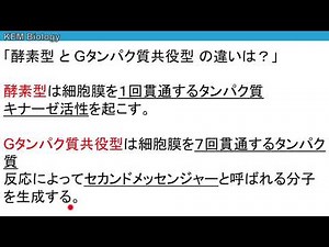 高校生物「細胞膜受容体・Gタンパク質」
