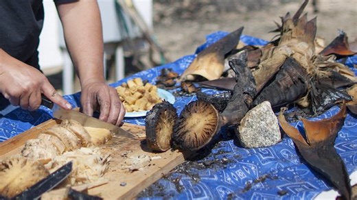 What native tribes ate to survive before modern food existed