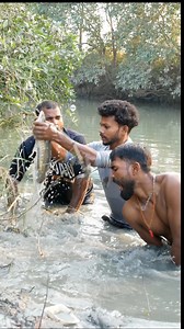गरई मछली पकड़ने Bihari Competition😅🤣 #cooking #bihari #fish #fishing #bachelor #cooking #funnyreels #memes #amitnishad #reels #explorar #newyear #cookingvideo #viral #tendencias2025 #amitnishad #reels #explorereels #videochallenge #biharireels | Amit Nishad