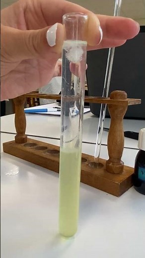 TP extraction ADN oignon