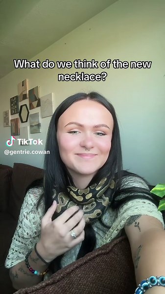meet lucifer (ironically named, yes). #fyp #foryoupage #funny #necklace #snake #real #python #ballpython #lucifer #serpent #jewlery #lmao