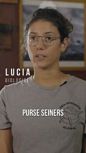 5.9K views · 1K reactions | Two whales fought for over an hour to escape a giant fishing net. This is what happens when industrial purse seiners operate unchecked. Help Sea Shepherd protect whales, sharks, and turtles from deadly bycatch. Donate today. | Sea Shepherd | Facebook