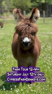 626 reactions · 46 shares | FARM TOUR This Saturday ONLY July 12th...