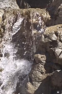 WHY WATERFALLS ARE KEY 🔑 Waterfalls are essential in koi ponds for several reasons: 1. Oxygenation: Cascading water aerates the pond, ensuring sufficient oxygen for koi and other aquatic life. 2. Water Circulation: They promote water movement, distributing nutrients and preventing stagnation. 3. Filtration: Waterfalls can integrate with filtration systems, aiding in water purification. 4. Aesthetic Appeal: Enhances the pond’s beauty and creates a serene atmosphere. 5. Natural Habitat Simulation