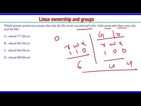Lec 4: Permissions and Users in Linux