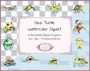 Sea Turtle Clipart - Watercolor Marine Turtle Ocean Life Coastal Wildlife Clipart Instant Download - PNG Graphics Bundle - Commercial Use - Etsy