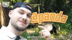 9.2K views · 232 reactions | Panda Meets Panda Buddy IRL! 勞 What happens when Panda meets a real panda… AND his in-game Panda Buddy? Get the new Panda Buddy in PUBG MOBILE now! Daily first single draw only 10 UC!  https://pubgmobile.live/PUBGMPANDA360 #PUBGMOBILE #PUBGMOBILEPH #PUBGMuna #PUBGMPANDA360 #PUBGMSETS360 #PandaVsPanda #PandaBuddy #PUBGM360 | PUBG Mobile Philippines | Facebook