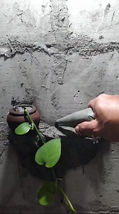 Another Technique for Drawing Trees with Cement #reels #cementart #diy #ideas | Irfan Zindi Utami