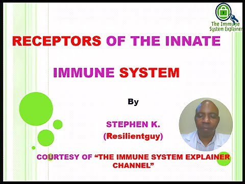 Innate Immunity Receptors - Pattern Recognition Receptors (PRRs)