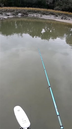 Houston | Spooked a big red with the trolling motor! #fishing #saltwaterfishing #beaufortsc #redfish | Instagram