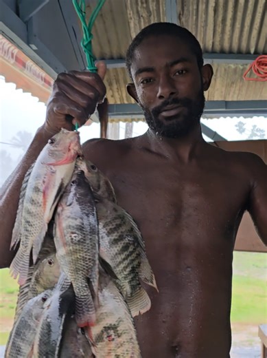 TILAPIA AND GRASS CARPS CAUGHT EPIC FULL VIDEO ON YOUTUBE HIDDEN BEAUTY TV WILDLIFE SUBSCRIBE SHARE COMMENT #fishing