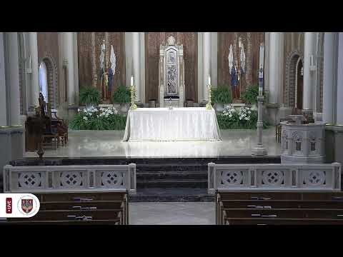 Holy Mass - Thursday 12:05p