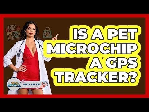 Is A Pet Microchip A GPS Tracker? - Ask A Pet Vet