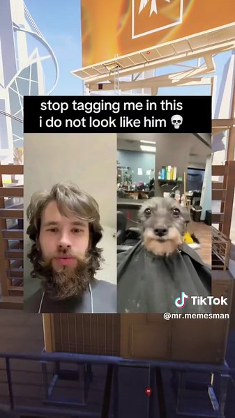 Pet Memes #dog #cat #meme #funny #funnyvideos #funnymemes #bestmemes #memes #fyp