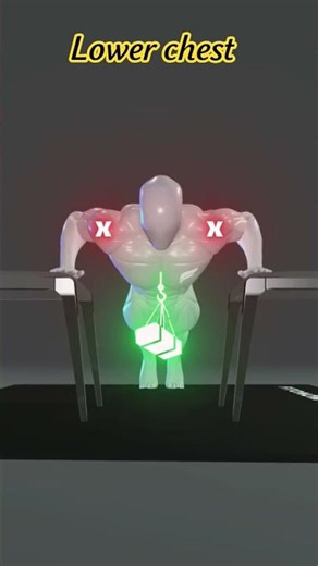 grow lower chest at home 💪| chair Dips Don #fitness #build #muscle #shorts #viral videos