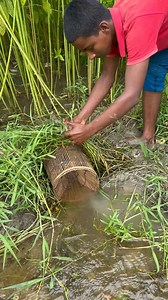 Village boy catching fish | Fishing & Village Tradition