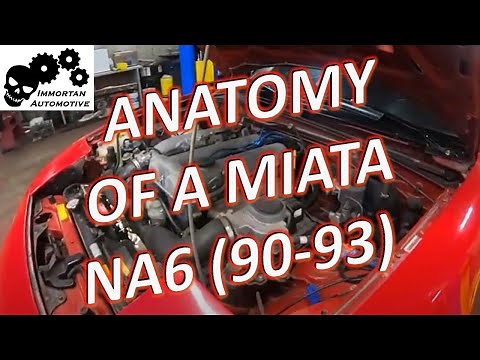 Anatomy of a Miata 1990 - 1993 (NA6)