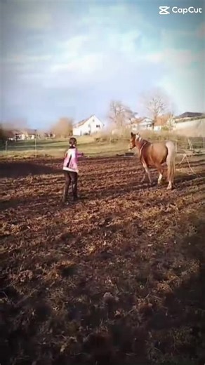 🫶Das spring Team🫶✨ (@das.spring.team)’s videos with Originalton - Maja🫶🏼