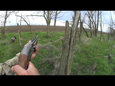 Hare hunting season opens in 2025